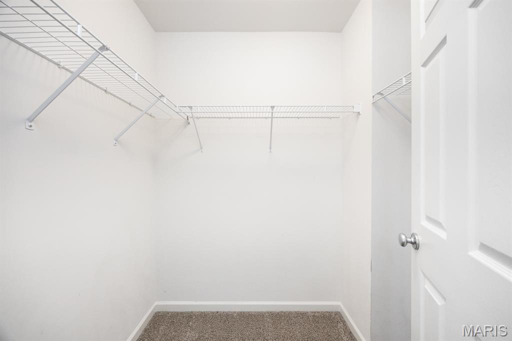 3033 Wye Oak Drive Belleville, IL 62221 - Photo 19 of 33