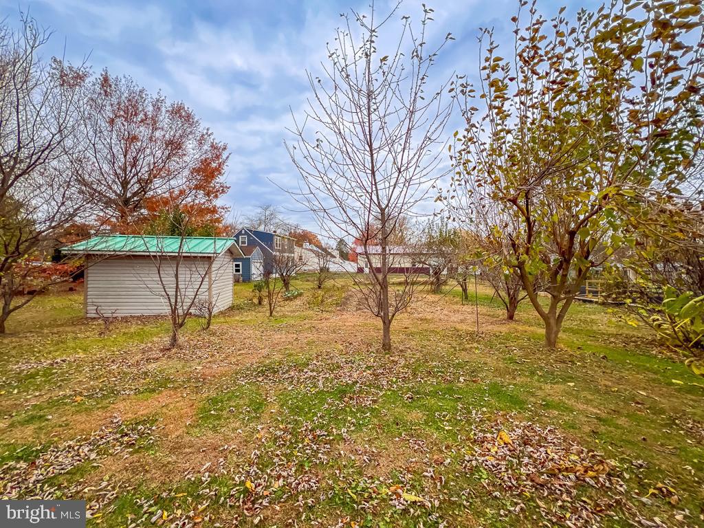 10 Makefield Road Morrisville, PA 19067 - Photo 39 of 46 a backyard of a house with large trees