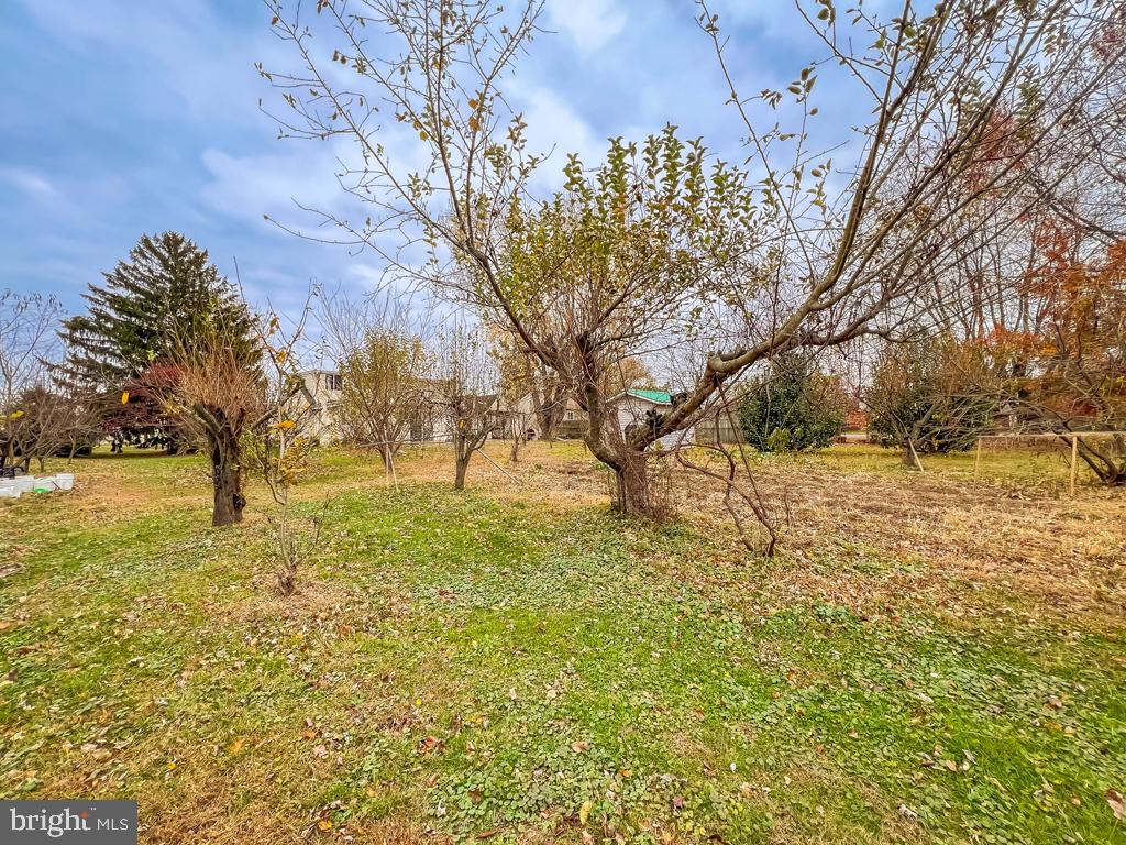 10 Makefield Road Morrisville, PA 19067 - Photo 41 of 46 a view of yard covered with snow
