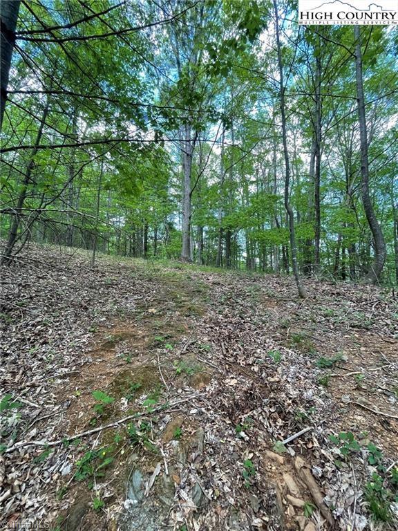Tbd Tbd Edwin Blevins Road Lansing, NC 28643 - Photo 12 of 13