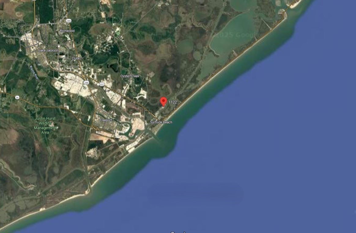 1122 Gulfview Street Freeport, TX 77541 - Photo 2 of 6 a picture of flowers