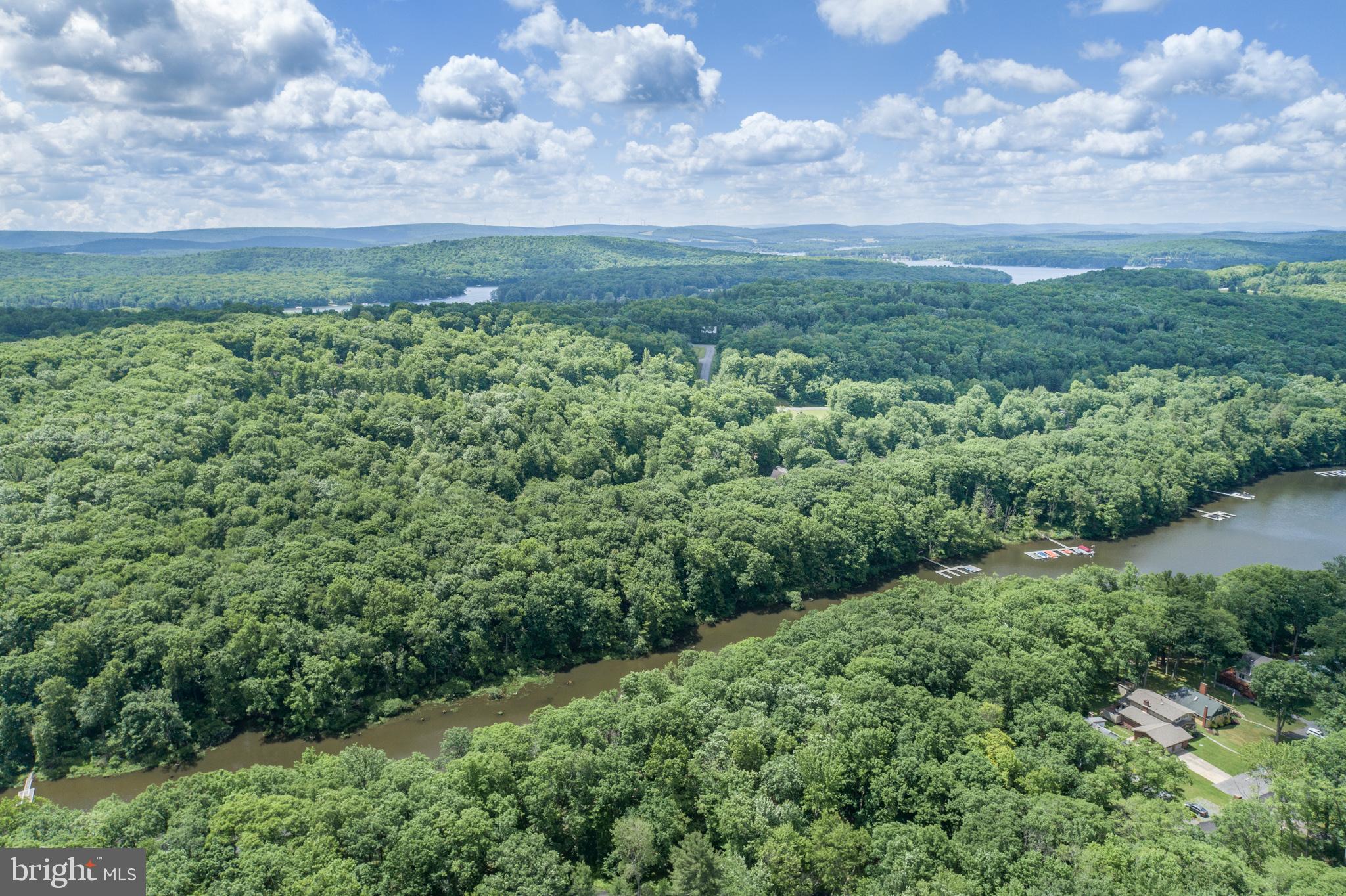 509 Brant Road Swanton, MD 21561 - Photo 7 of 21 a view of a field of grass and trees