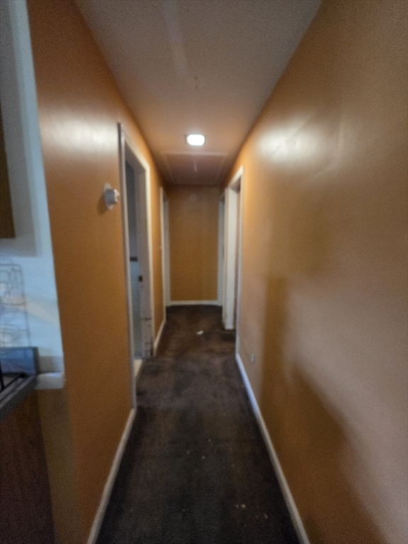 3 Hampton Street Worcester, MA 01604 - Photo 4 of 13