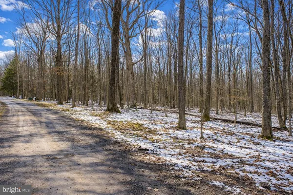 $139,000 | Lot 1 Thomas Circle, Swanton, MD 21561