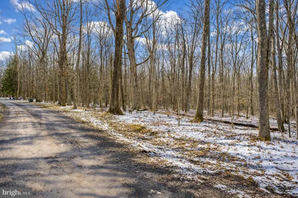 $139,000 | Lot 1 Thomas Circle, Swanton, MD 21561