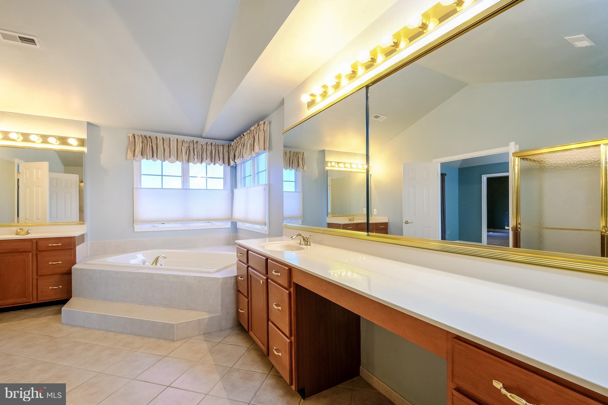 15174 Sapling Ridge Drive Dayton, MD 21036 - Photo 17 of 30 Bath (Master)