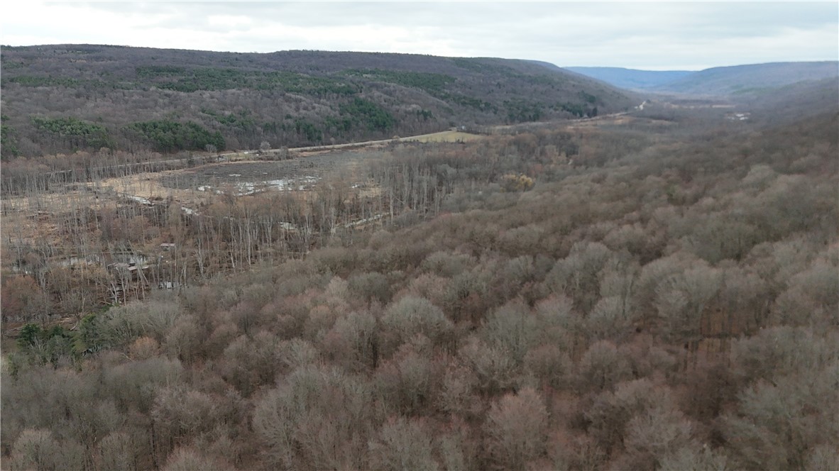 1592 Emerson Road Potter, NY 14507 - Photo 18 of 25
