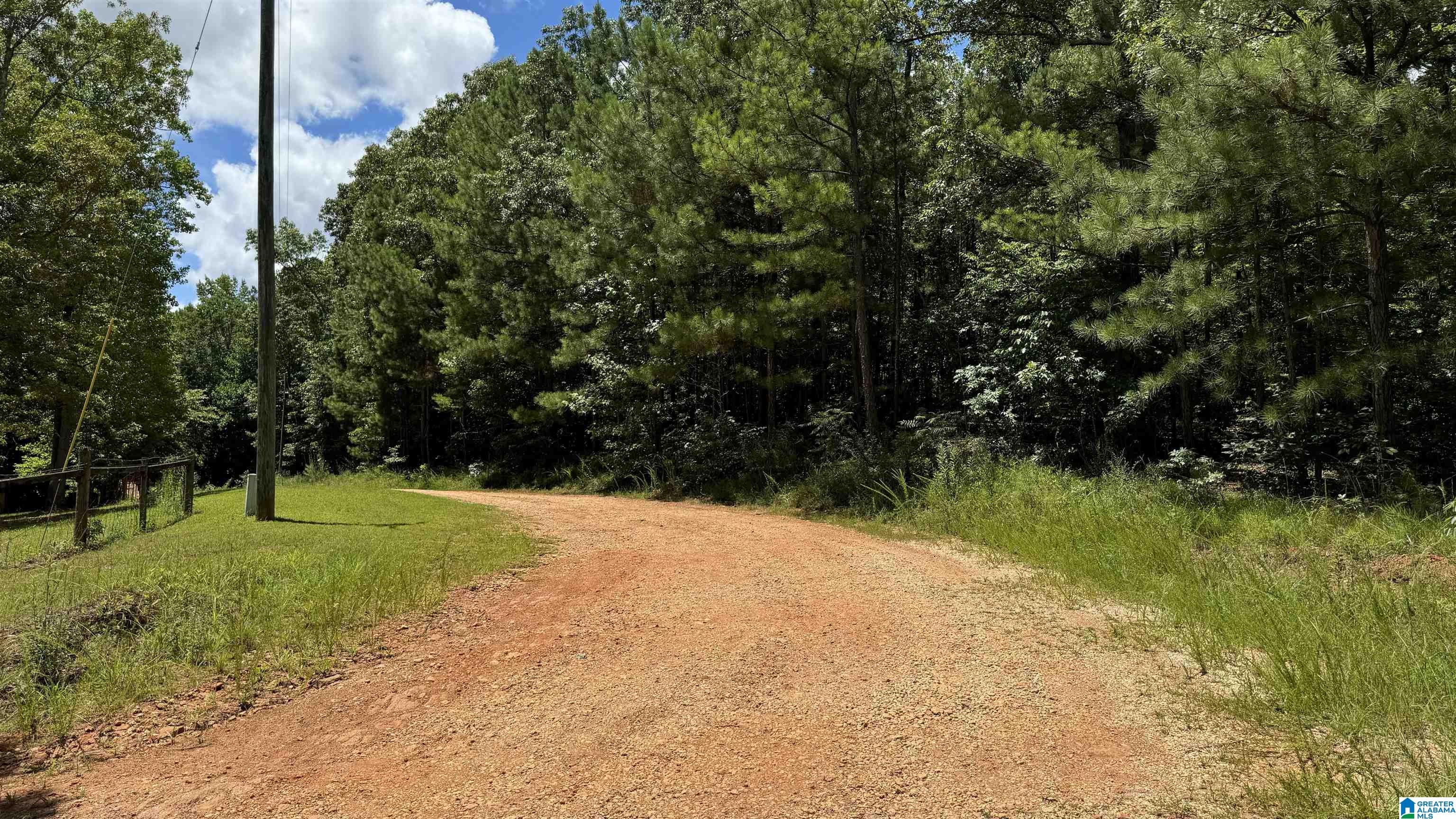 0 Pinetucky Lane Heflin, AL 36264 - Photo 6 of 16