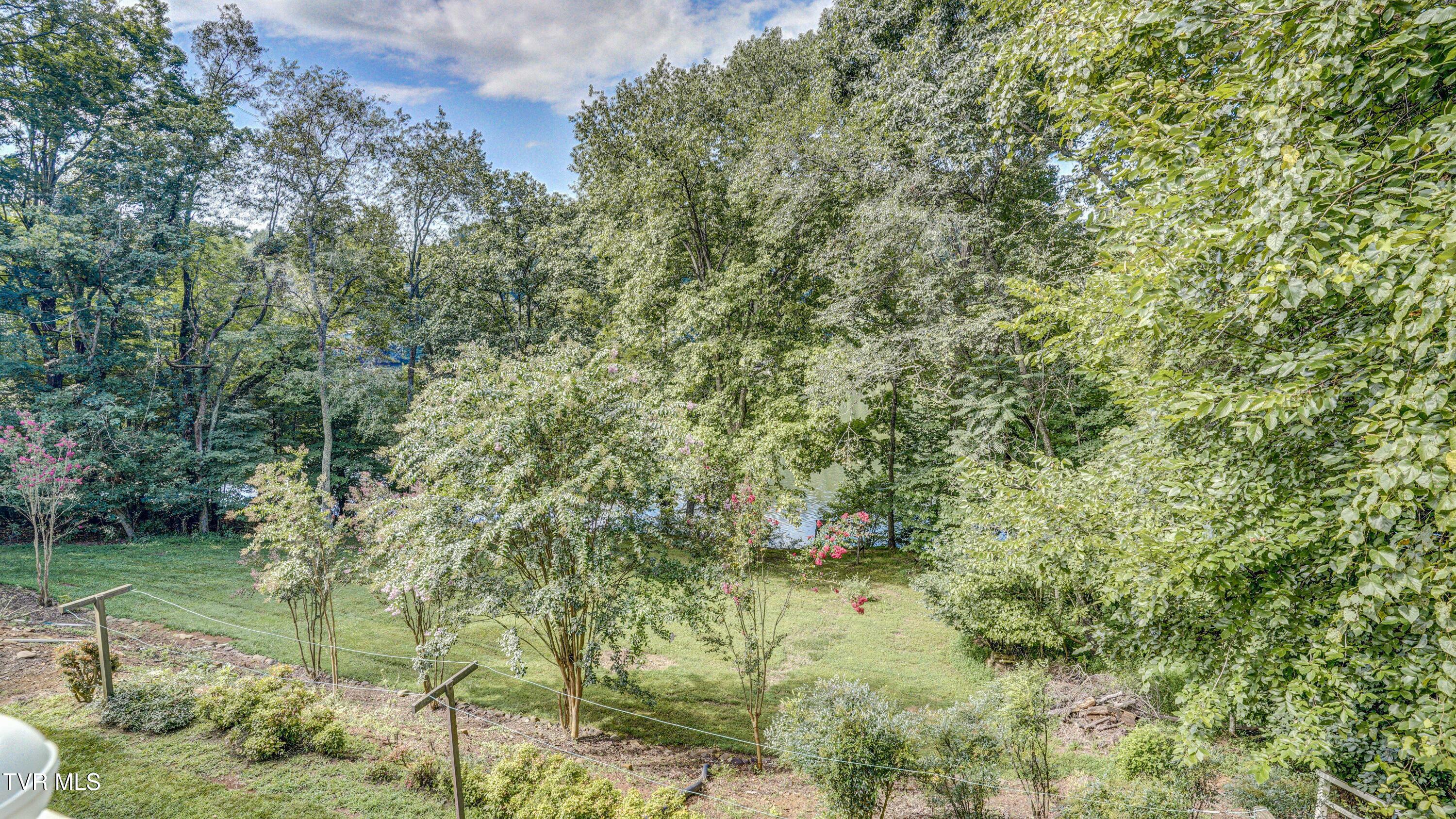 1212 Wahoo Valley Road Kingsport, TN 37663 - Photo 46 of 82 _DSC0271_2_3_4_5