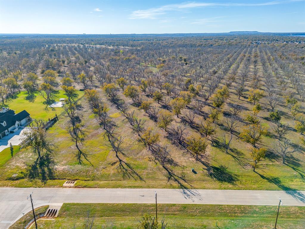 8313 West Landings Road Granbury, TX 76049 - Photo 11 of 33 a view of a city
