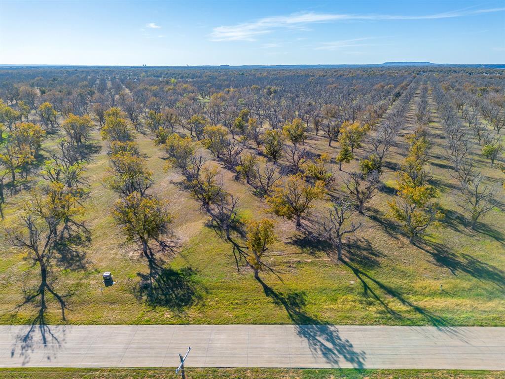 8313 West Landings Road Granbury, TX 76049 - Photo 12 of 33 view of an outdoor space and a yard