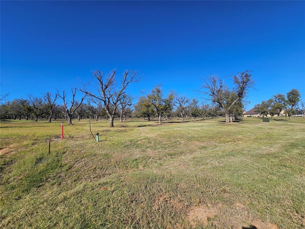 8313 West Landings Road Granbury, TX 76049 - Photo 14 of 33 a view of a field with trees