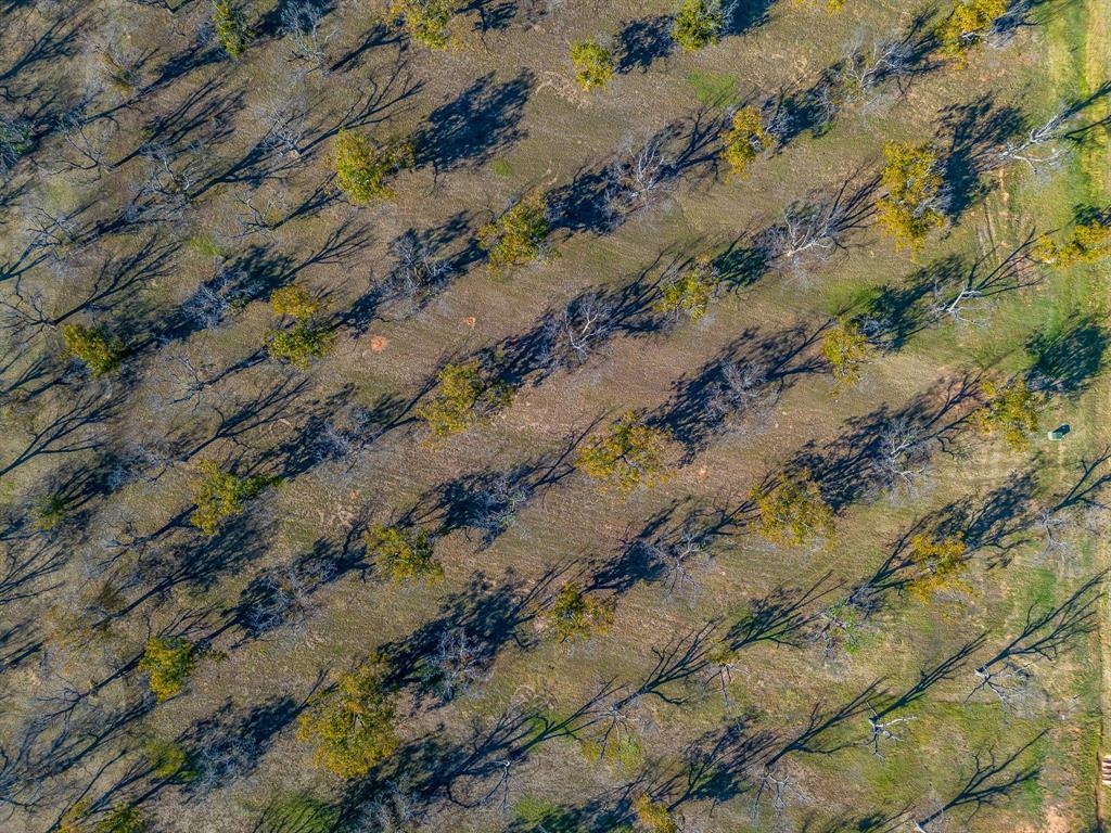 8313 West Landings Road Granbury, TX 76049 - Photo 8 of 33 a view of a city of mountains