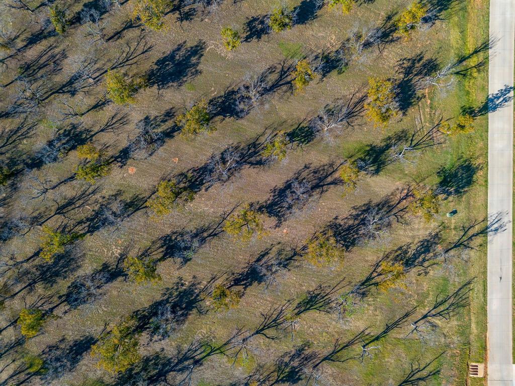 8313 West Landings Road Granbury, TX 76049 - Photo 9 of 33 a view of a yard with a houses