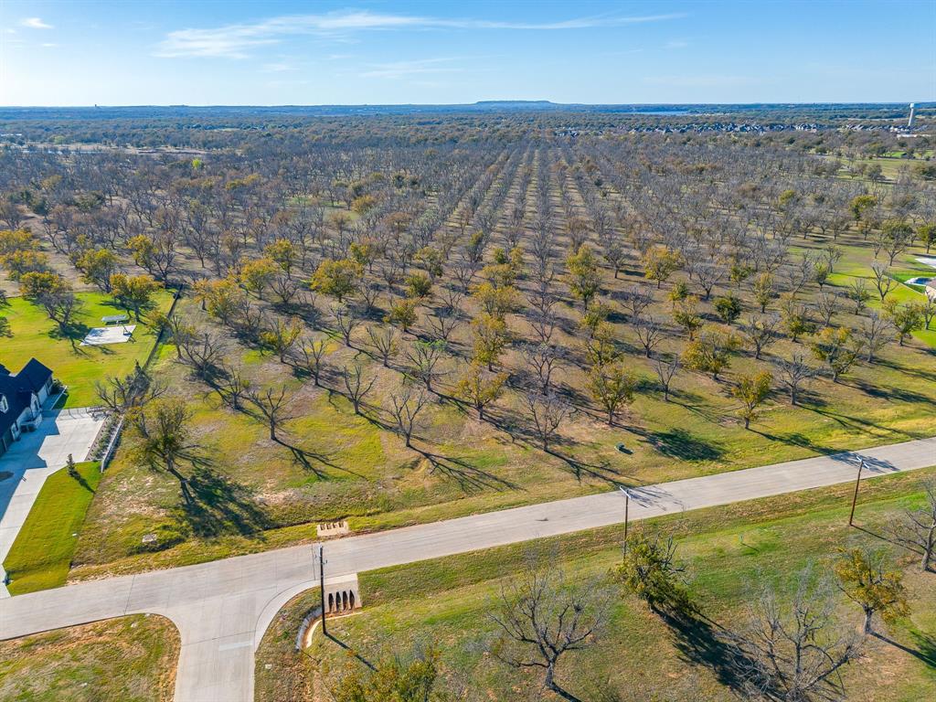 8313 West Landings Road Granbury, TX 76049 - Photo 10 of 33 a view of residential houses with outdoor space