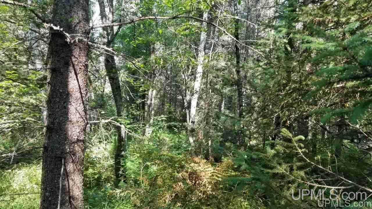 Tbd Fishing Site Road, Unit 1 Amasa, MI 49903 - Photo 13 of 19