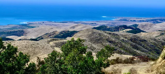a view of beach and ocean