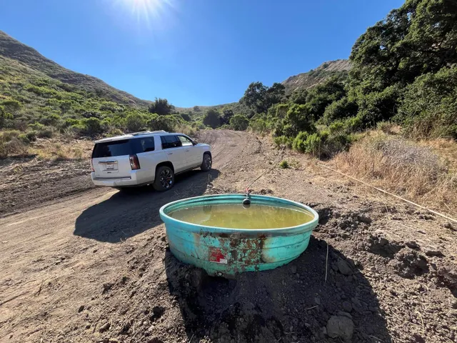 a view of a backyard with table and chairs
