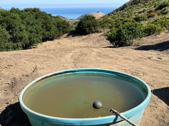 a view of outdoor space yard and swimming pool