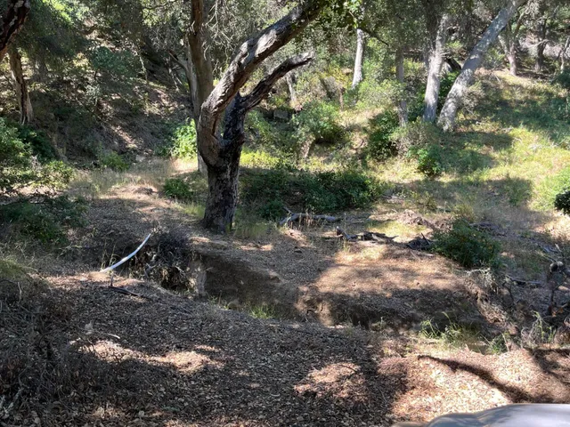 a backyard of a house with lots of green space
