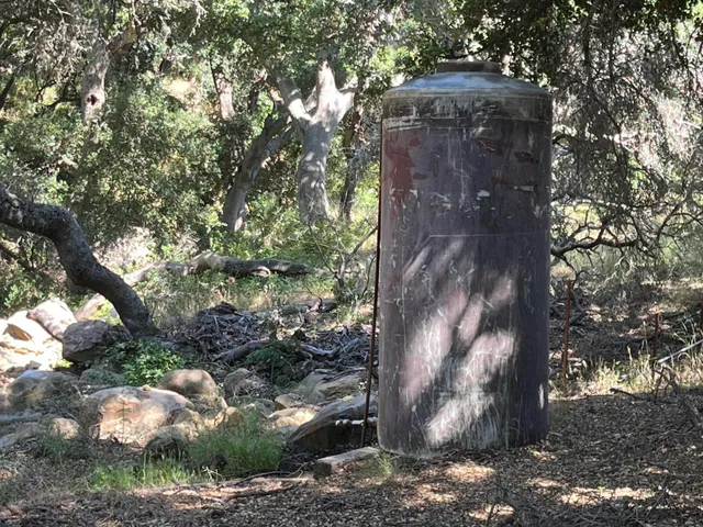 a view of a tree in a yard