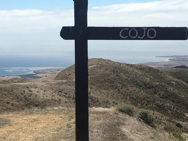a street sign on a wall next to road