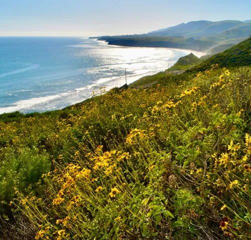 a view of an ocean from a beach