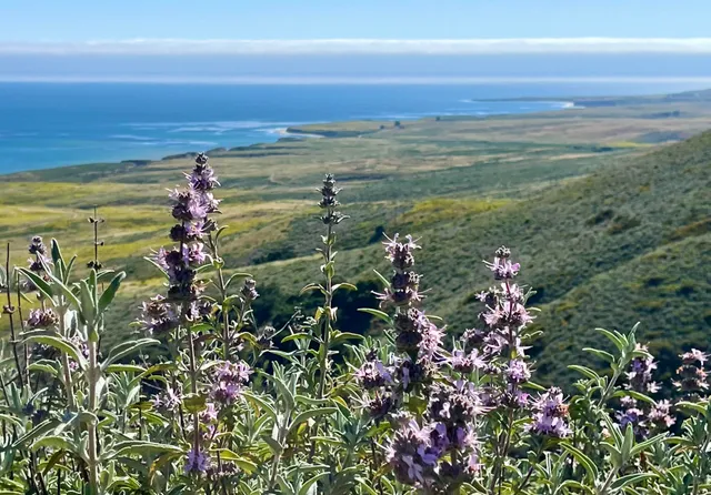 a view of a lake with a houses