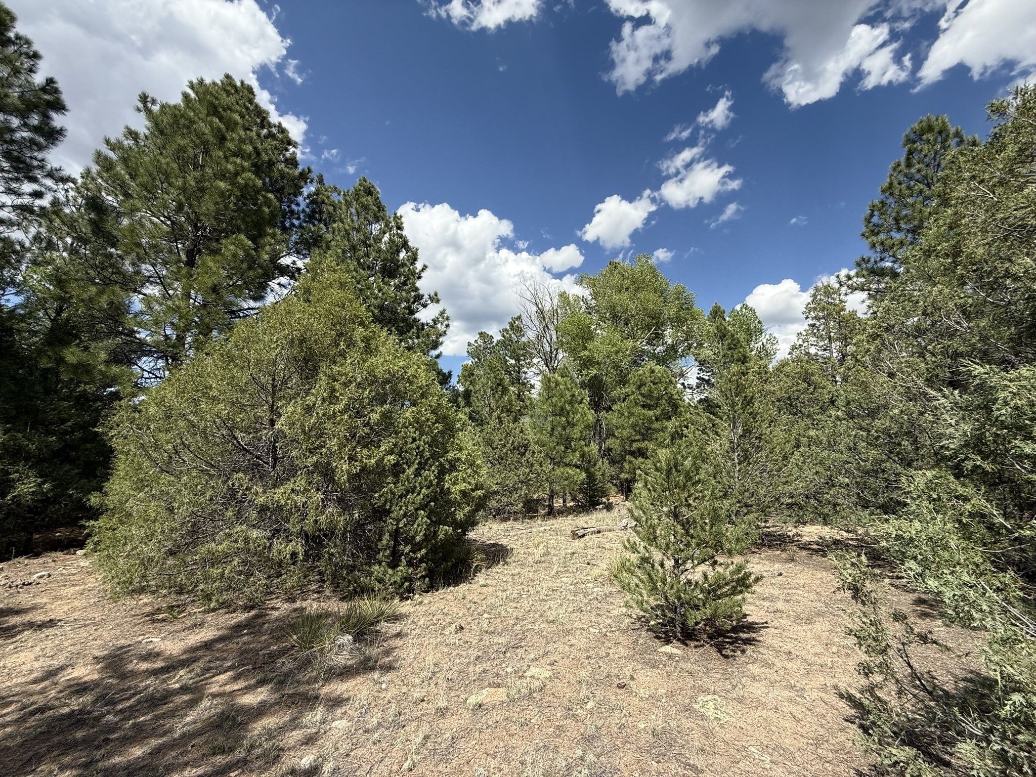 2318 Old Red River Road Questa, NM 87556 - Photo 23 of 36