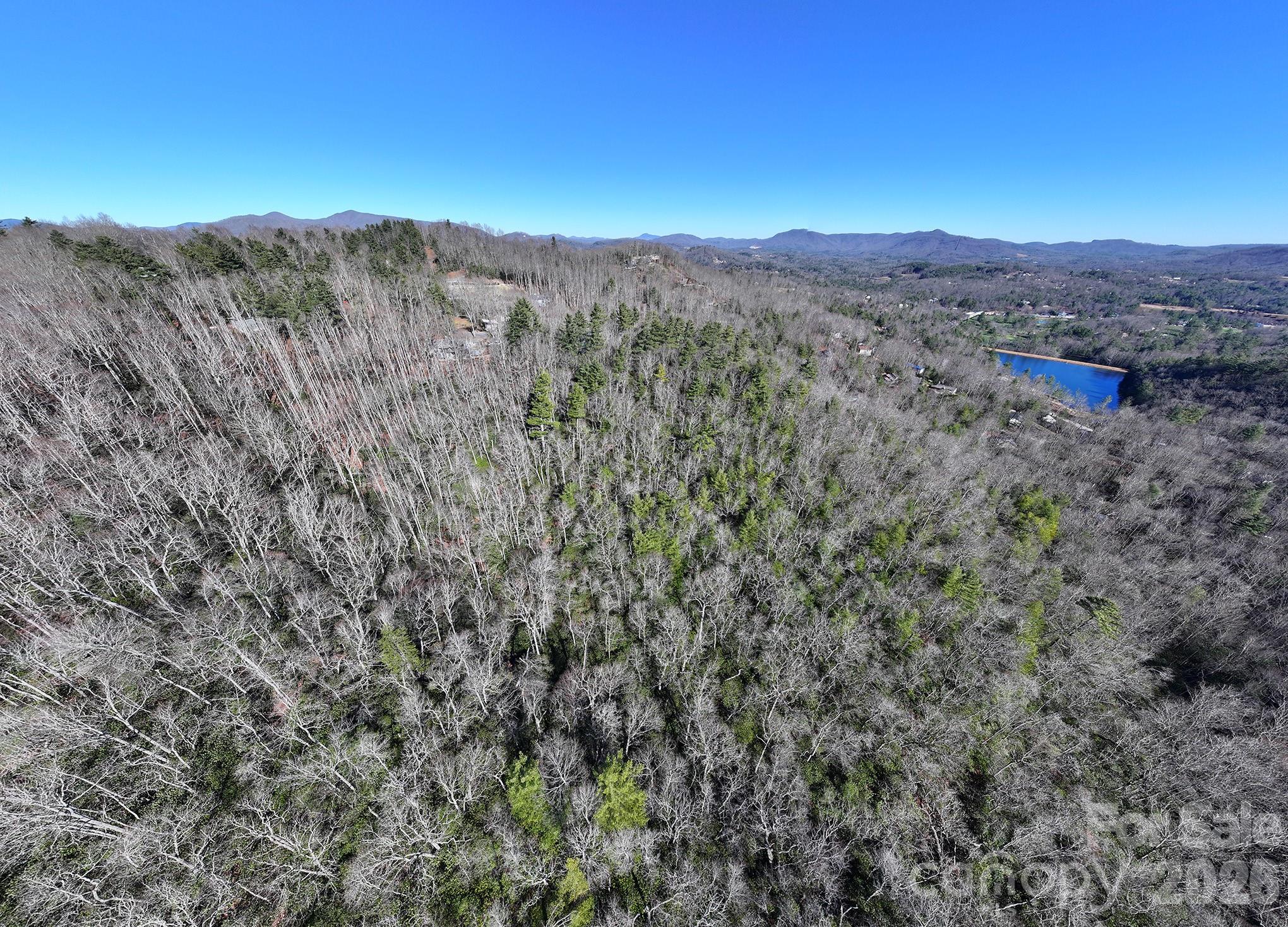 Tbd Pine Point Road Spruce Pine, NC 28777 - Photo 10 of 27