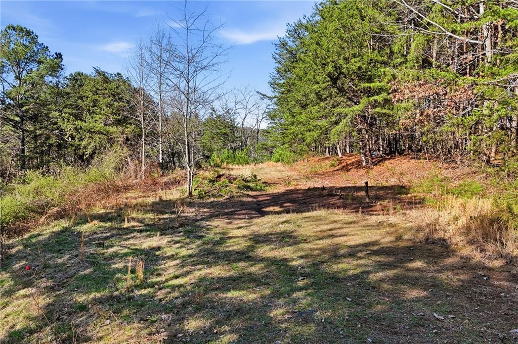 1139 Davis Road West Fairmount, GA 30139 - Photo 40 of 46