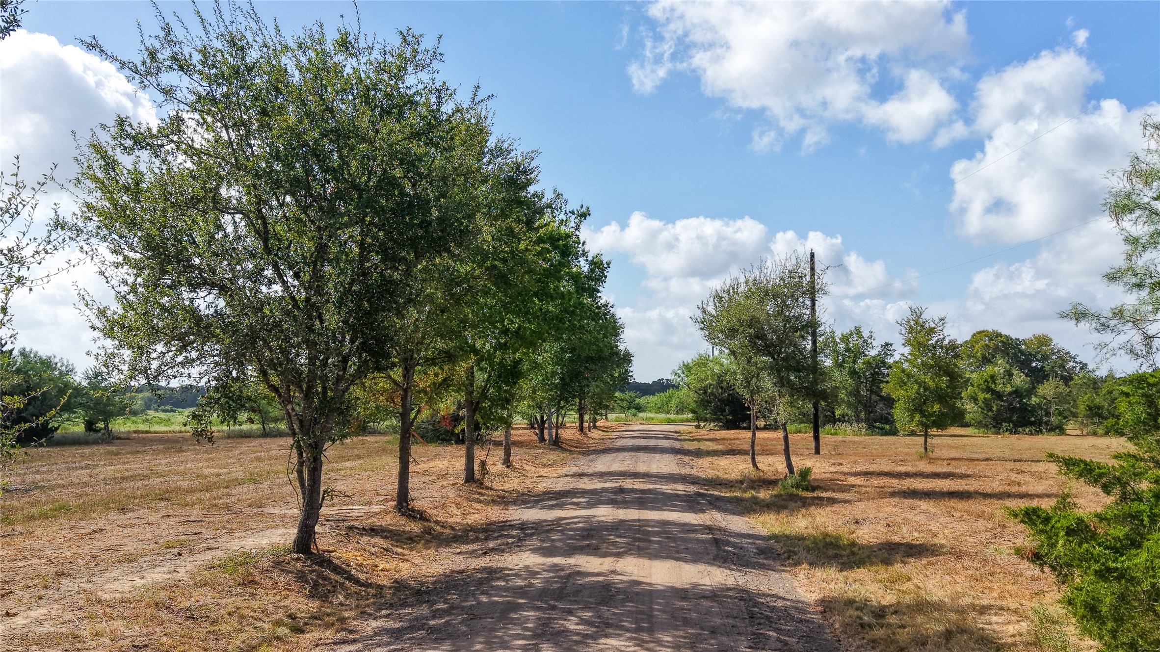 4 Tbd Mensik Road Bryan, TX 77808 - Photo 8 of 17 Gallery Image 8