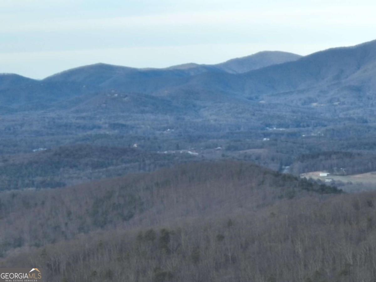 279 Andes Ridge Talking Rock, GA 30175 - Photo 19 of 37