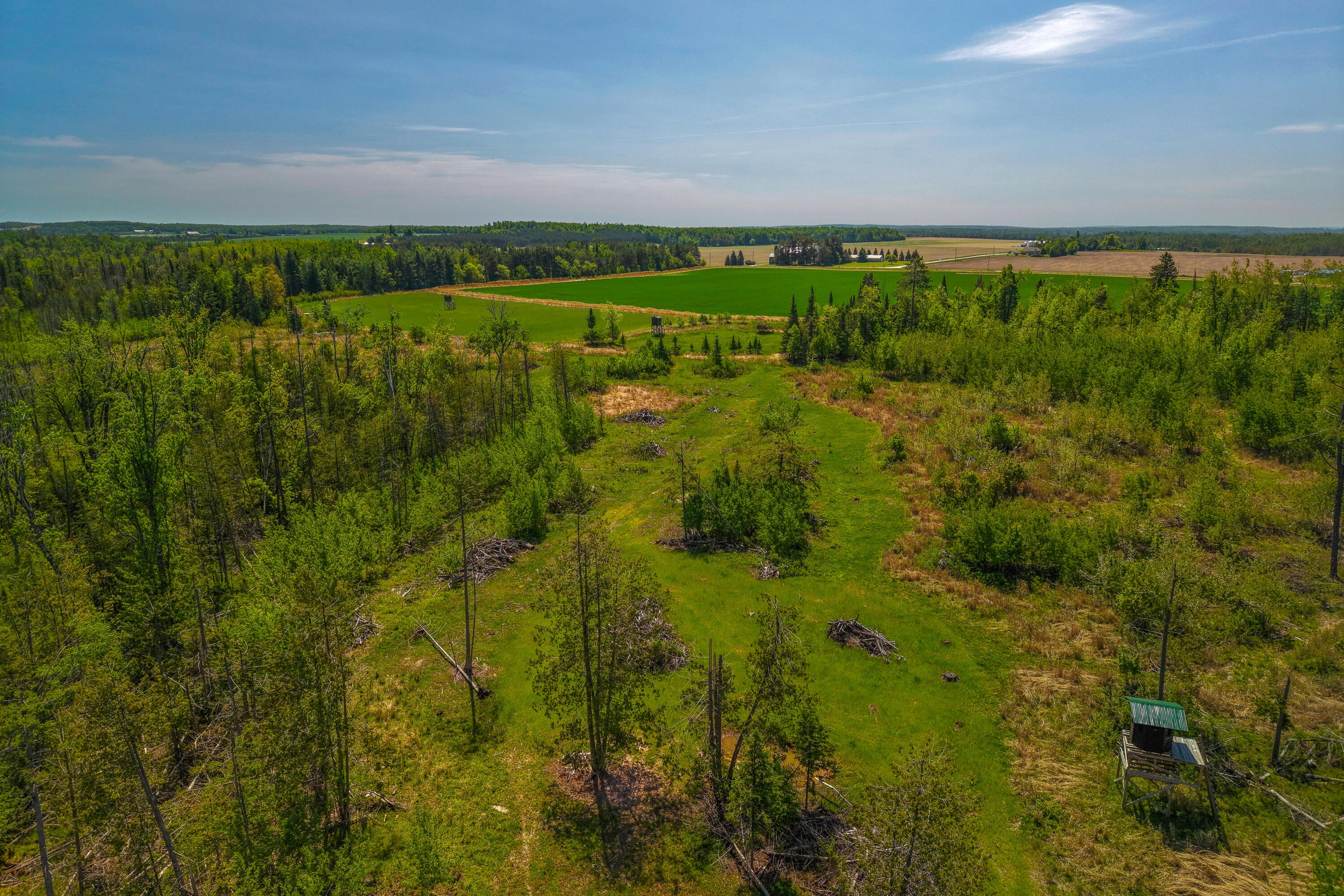 14390 Taylor Hawks Road Lachine, MI 49753 - Photo 13 of 29 12