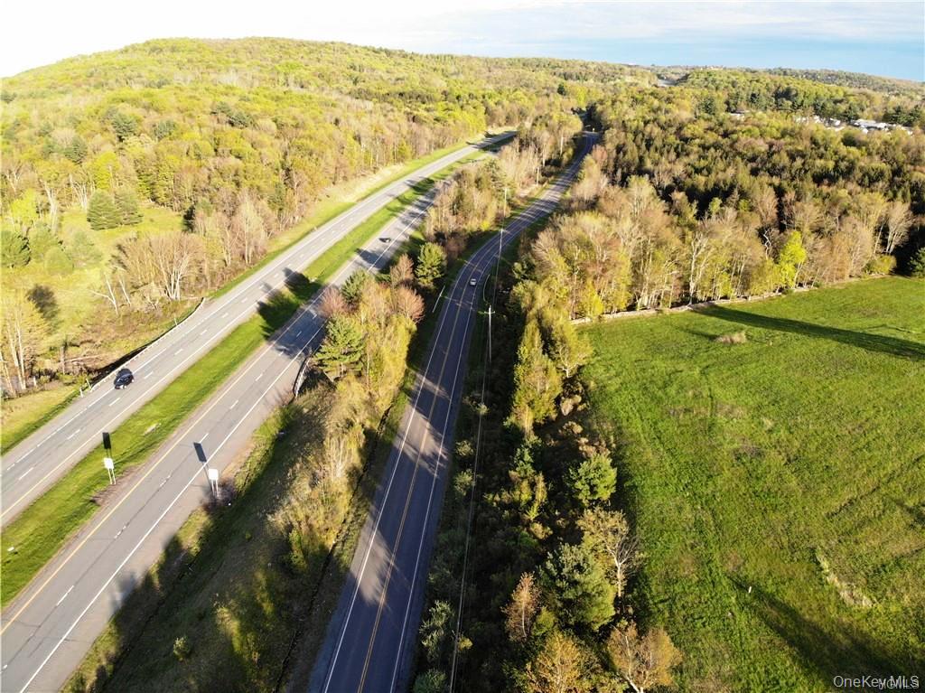 0 Benmosche Road Monticello, NY 12701 - Photo 5 of 19 Gallery Image 5