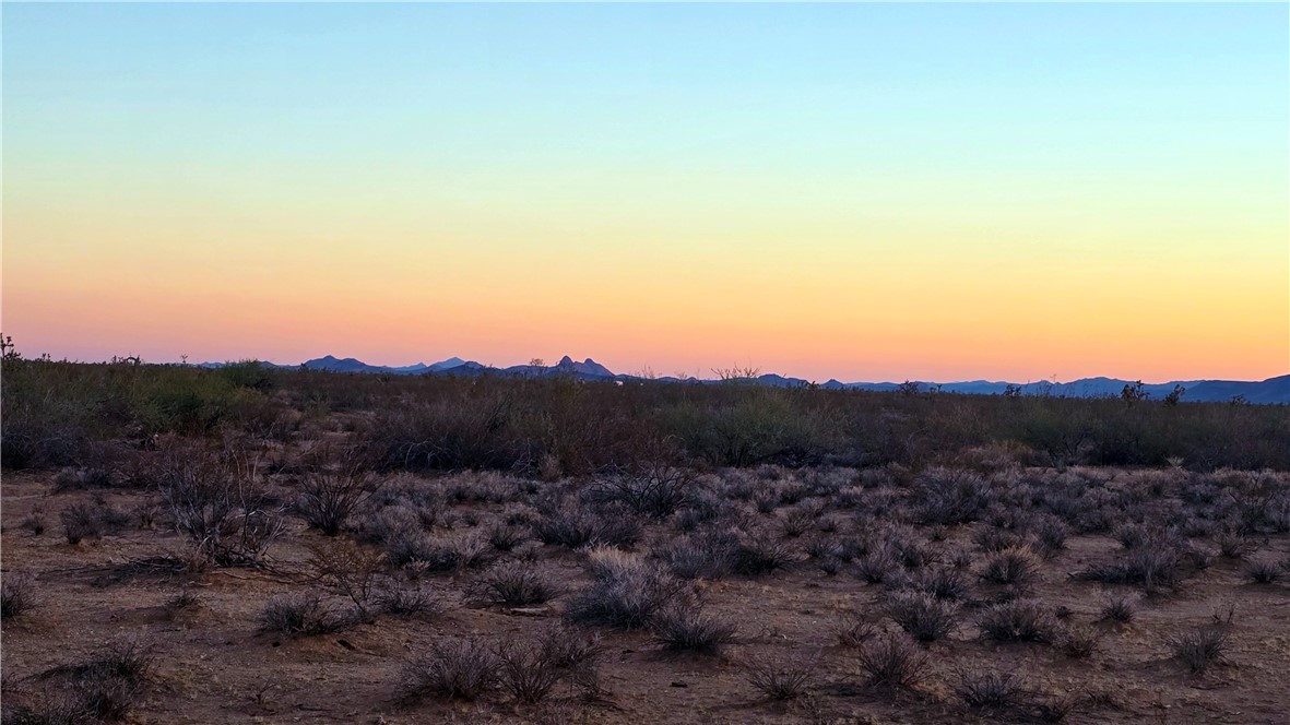 255 South Dead Eye Road Yucca, AZ 86438 - Photo 3 of 17 View