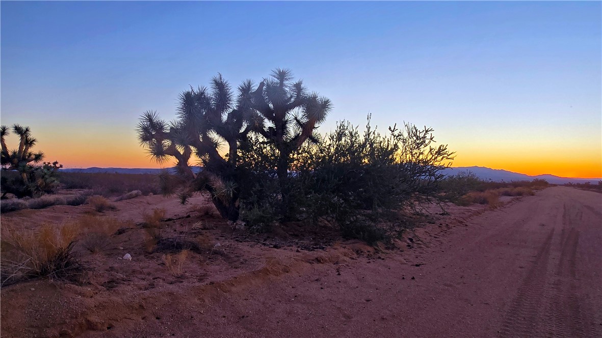 255 South Dead Eye Road Yucca, AZ 86438 - Photo 4 of 17 View