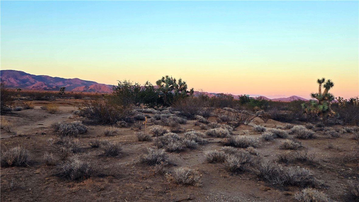 255 South Dead Eye Road Yucca, AZ 86438 - Photo 6 of 17 View