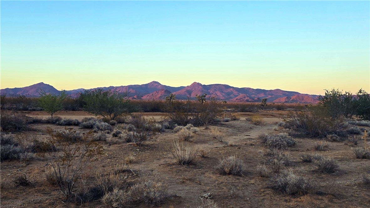 255 South Dead Eye Road Yucca, AZ 86438 - Photo 7 of 17 View