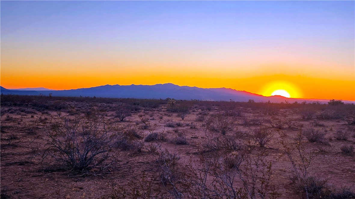 255 South Dead Eye Road Yucca, AZ 86438 - Photo 8 of 17 View