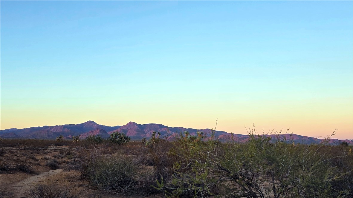 255 South Dead Eye Road Yucca, AZ 86438 - Photo 10 of 17 View