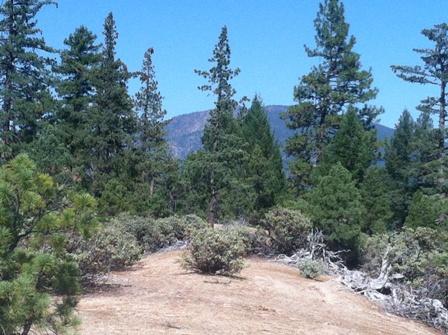 0 No Name Road Trinity Center, CA 96091 - Photo 4 of 8 Gallery Image 4