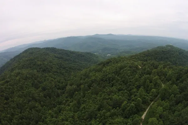an aerial view of houses covered in trees