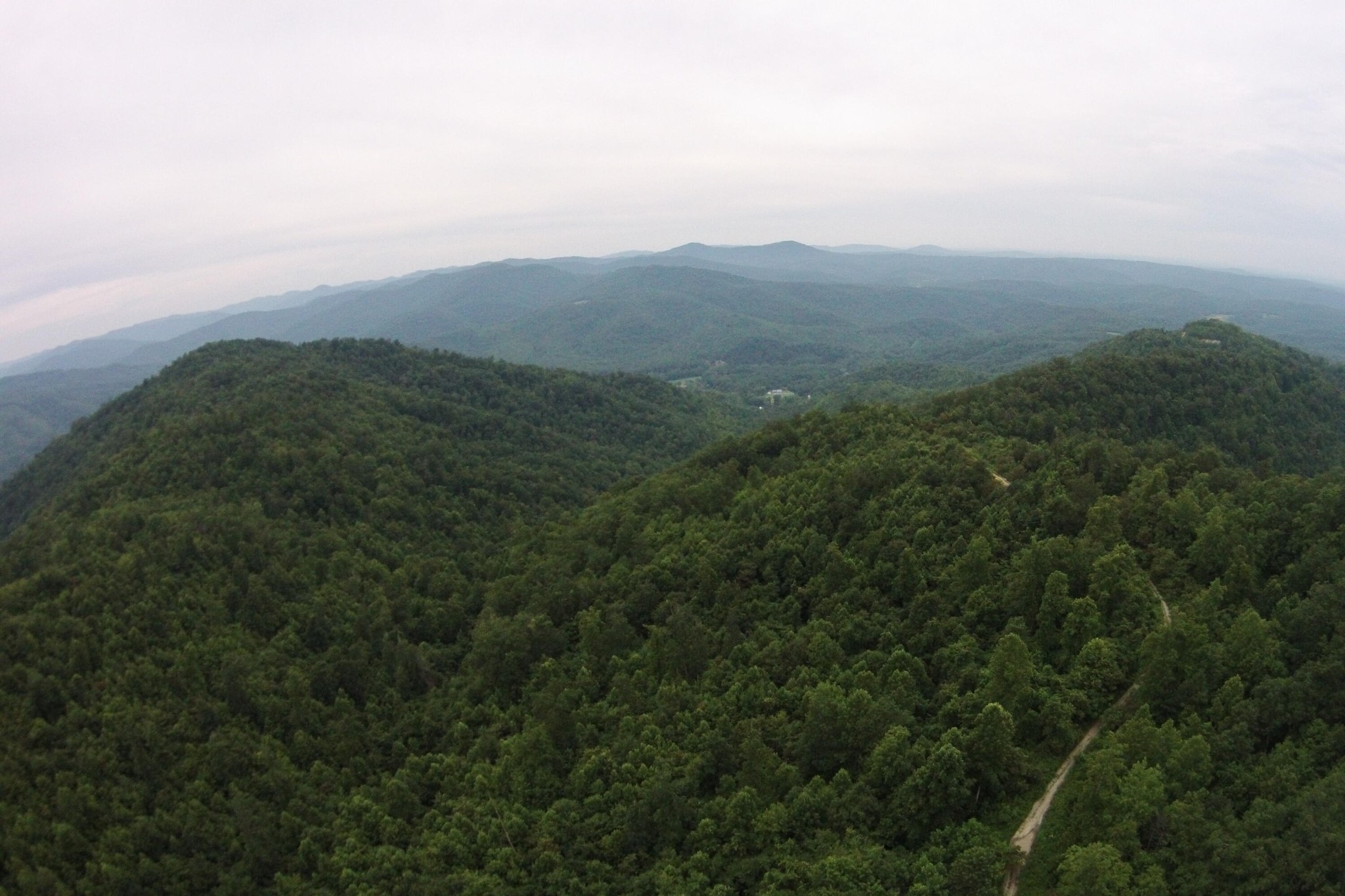 an aerial view of houses covered in trees
