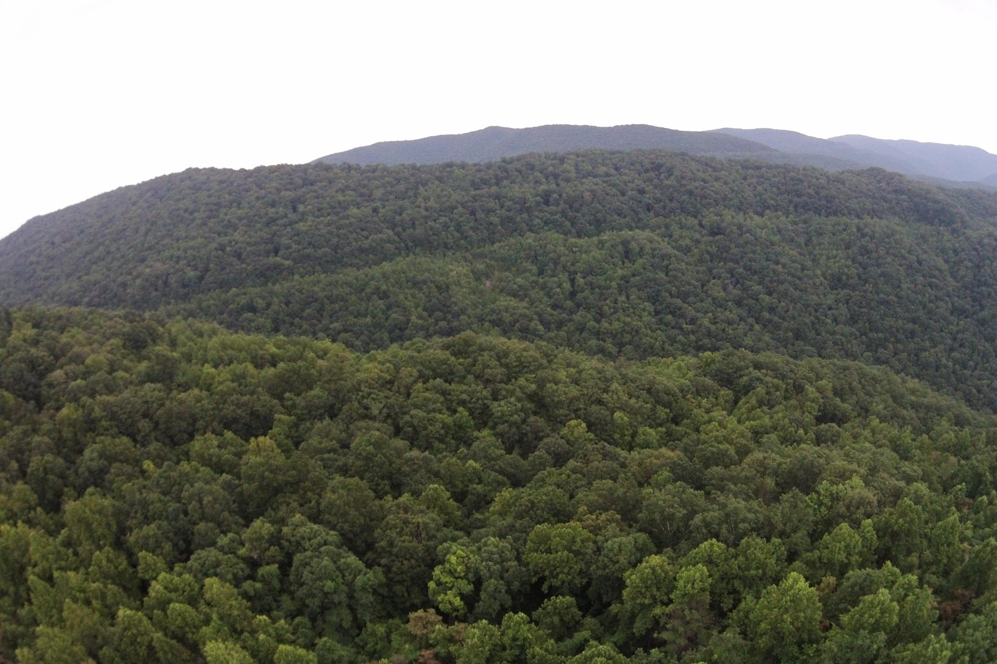 1 Straight Fork Road Huntsville, TN 37756 - Photo 11 of 25 a view of a mountain range with trees in the background