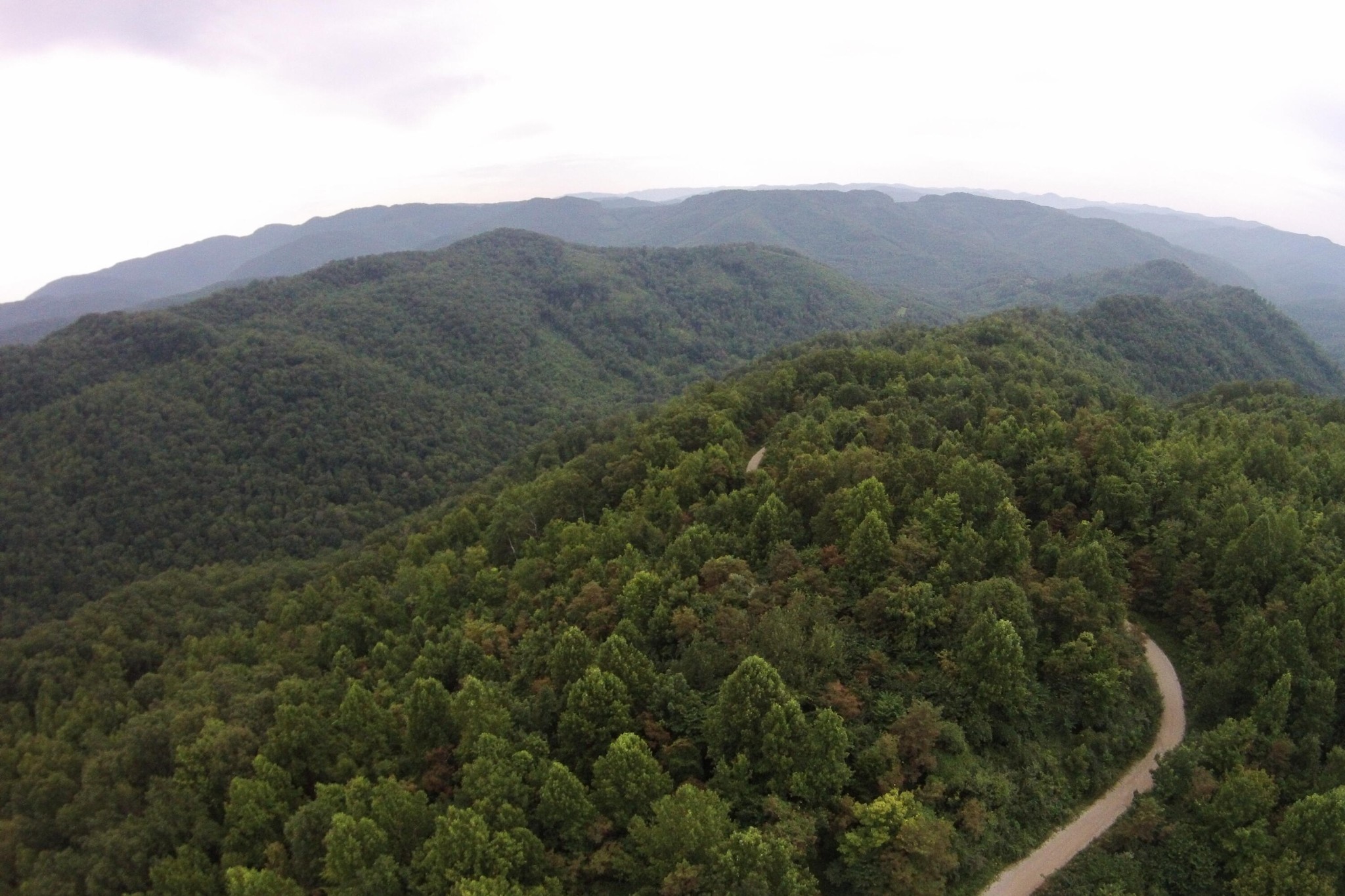 1 Straight Fork Road Huntsville, TN 37756 - Photo 12 of 25 a view of a mountain range with lush green forest