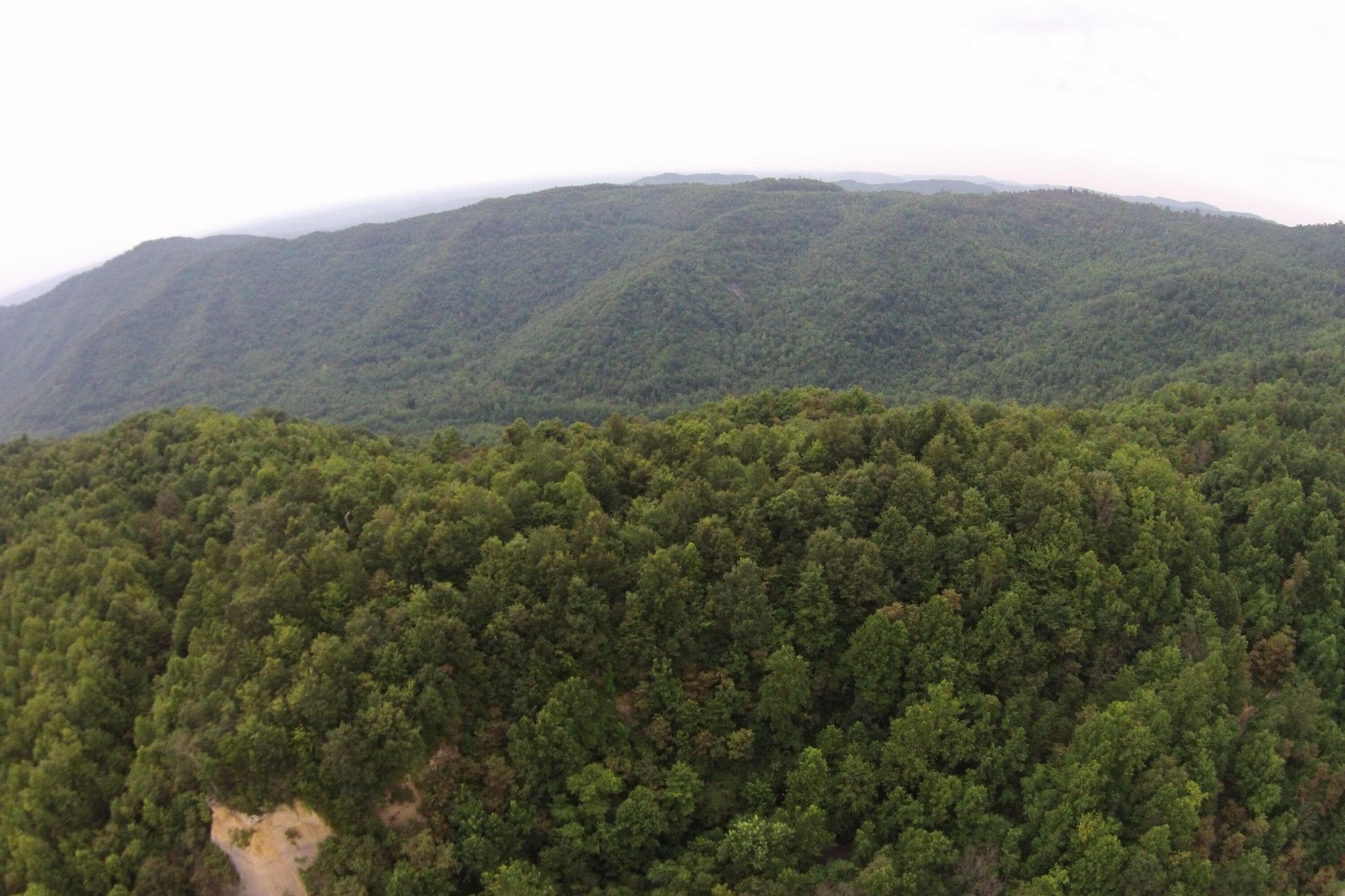 1 Straight Fork Road Huntsville, TN 37756 - Photo 15 of 25 a view of a mountain range with trees in the background
