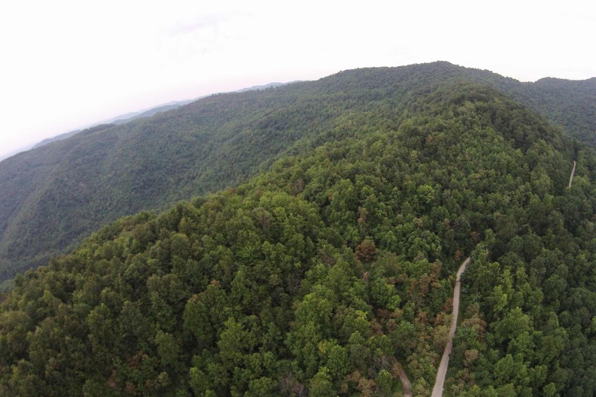 1 Straight Fork Road Huntsville, TN 37756 - Photo 16 of 25 a view of a mountain range with trees in the background