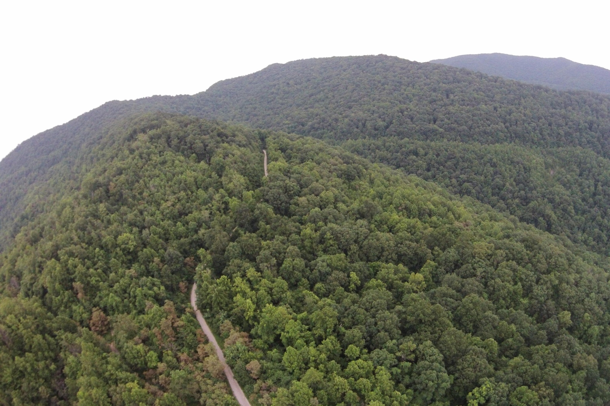 1 Straight Fork Road Huntsville, TN 37756 - Photo 17 of 25 a view of a mountain in the distance in a field