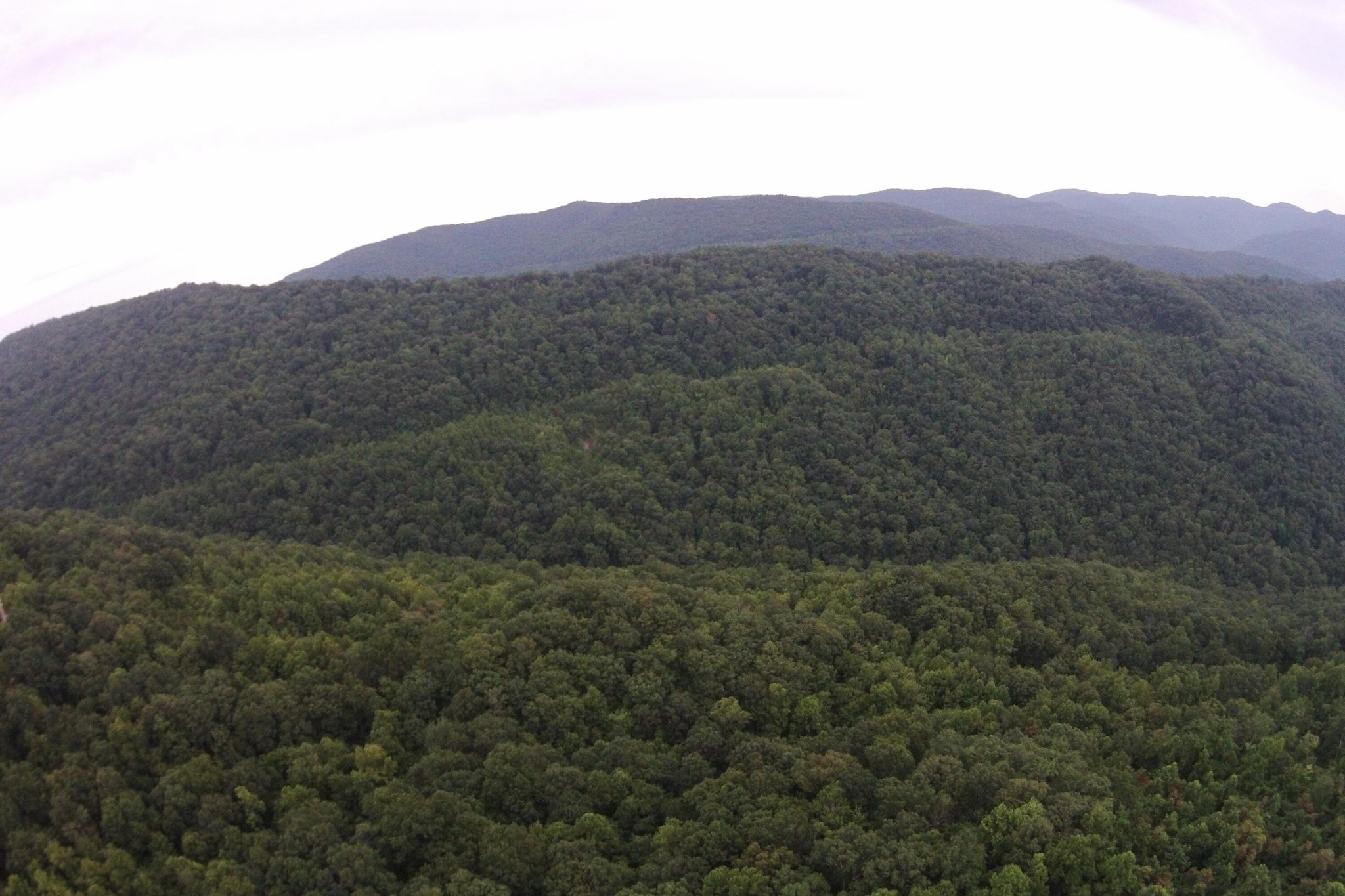 1 Straight Fork Road Huntsville, TN 37756 - Photo 18 of 25 a view of a mountain range with trees